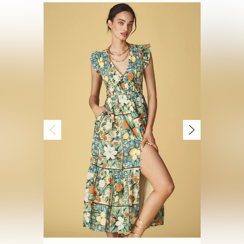 NWT Peregrine Midi Dress in Fruit Motif Size S (Anthropologie)
